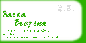marta brezina business card
